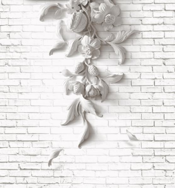 Fototapeta Steinblume