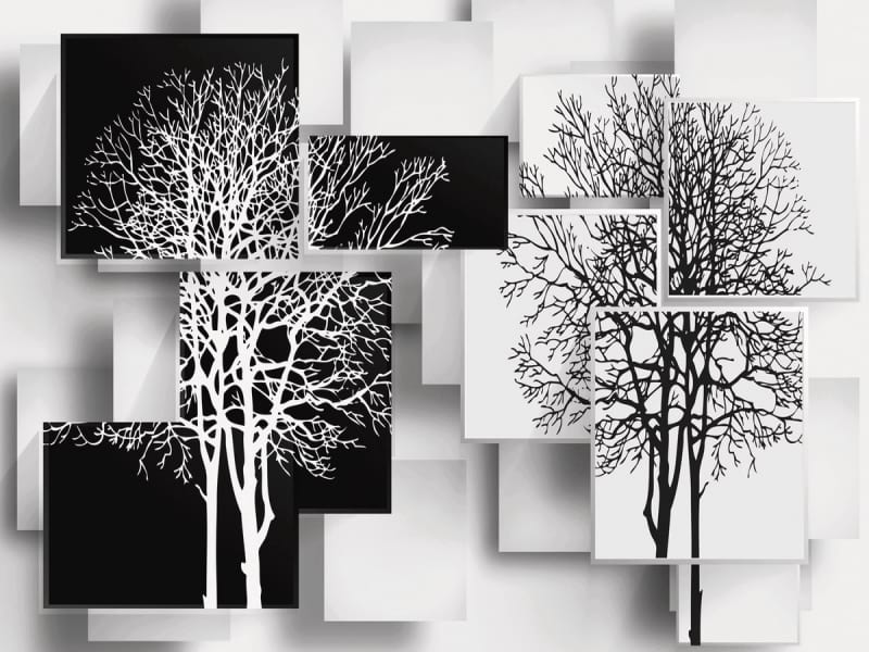 Fototapeta Schwarze und weiße Bäume