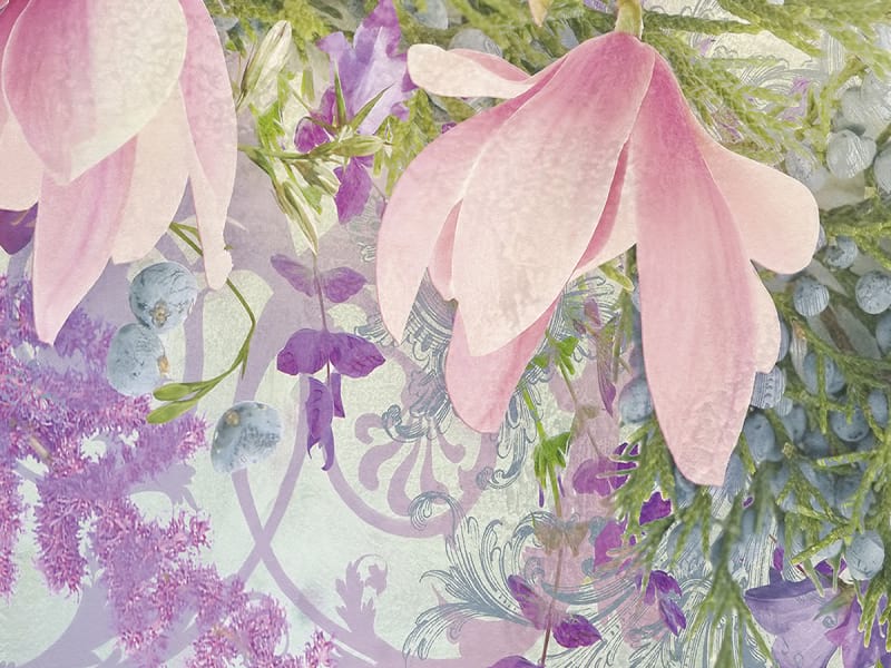 Fototapeta Herrliche Magnolien fragment # 1