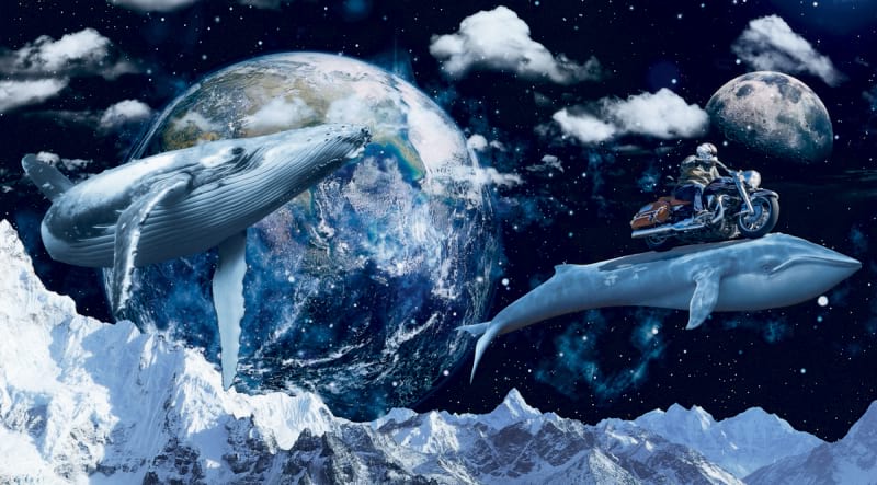 Fototapeta Weltraumwale