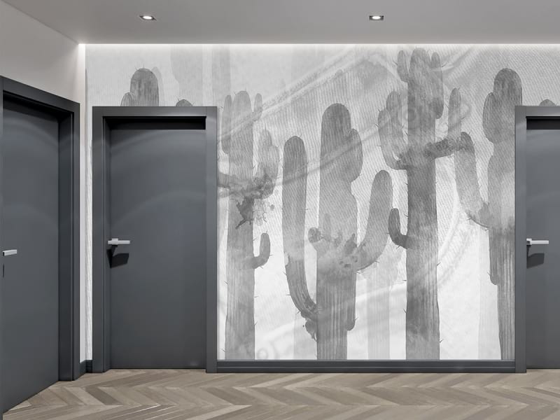 Fototapeta Graue Kakteen we wnętrzu przedpokoju