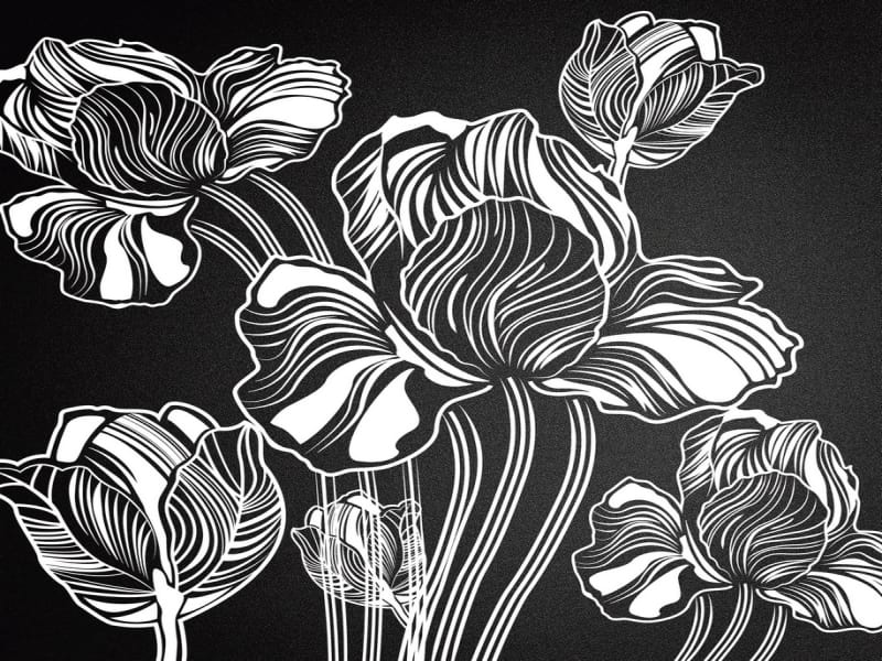 Fototapeta Blumen auf schwarzem Hintergrund