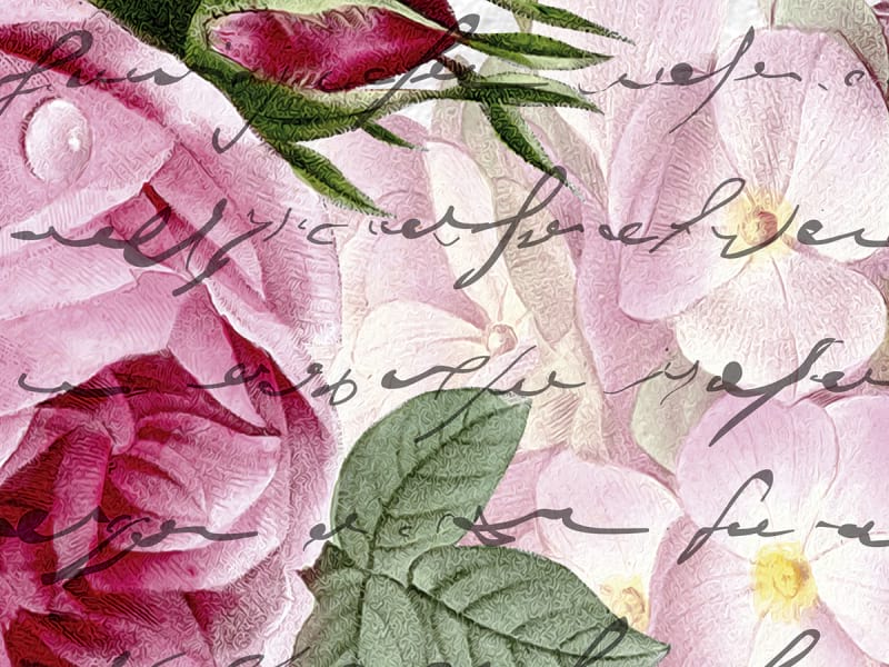 Fototapeta Blumen und Text fragment # 1