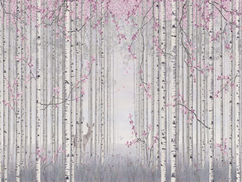 Fototapeta Birken mit rosa Blättern