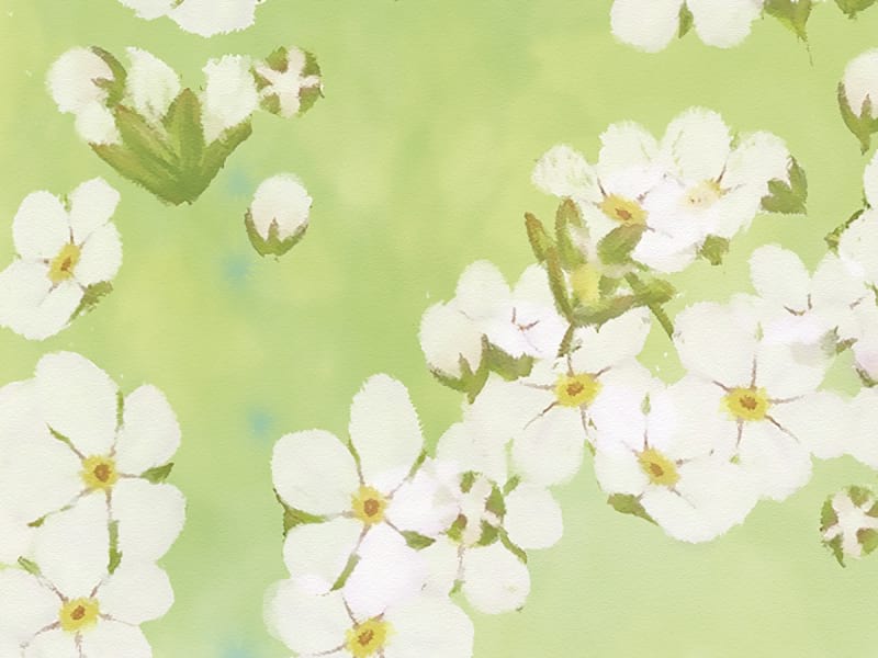 Fototapeta Schwebende Blumen fragment # 1