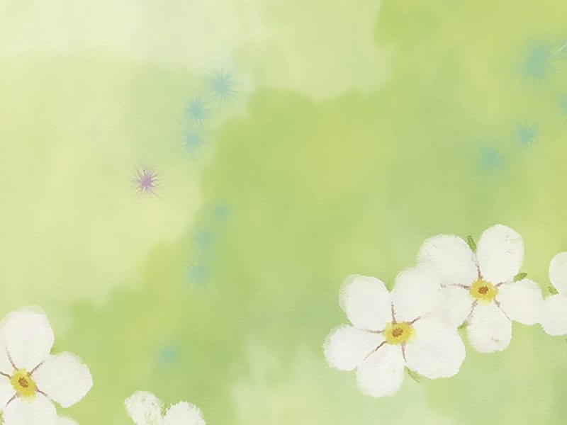 Fototapeta Schwebende Blumen fragment #2