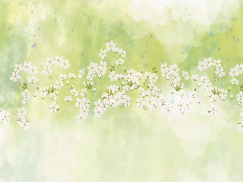 Fototapeta Schwebende Blumen
