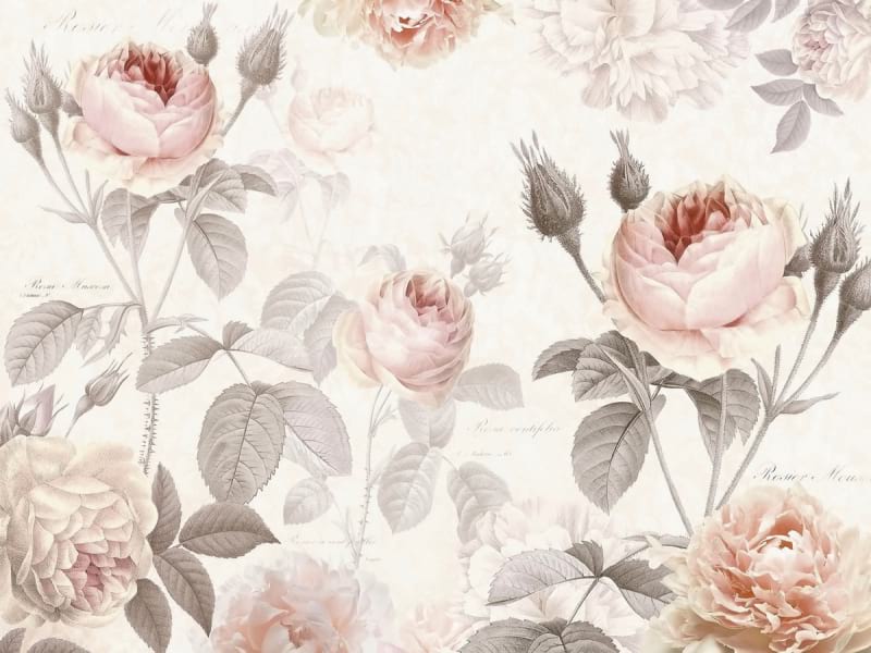 Fototapeta Üppige Gartenrosen
