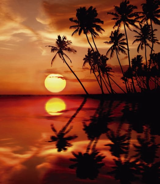 Fototapeta Roter Sonnenuntergang