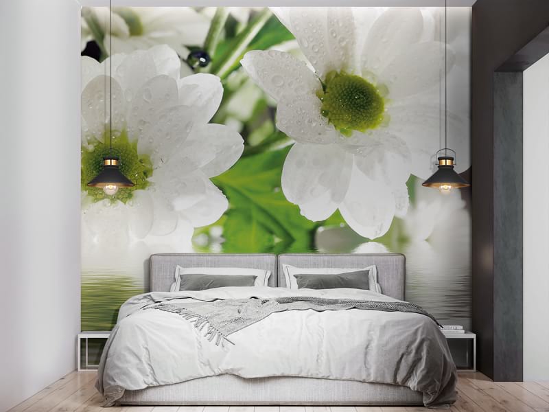 Fototapeta Schneeweiße Blumen im Wasser we wnętrzu sypialni