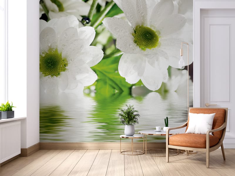 Fototapeta Schneeweiße Blumen im Wasser we wnętrzu salonu