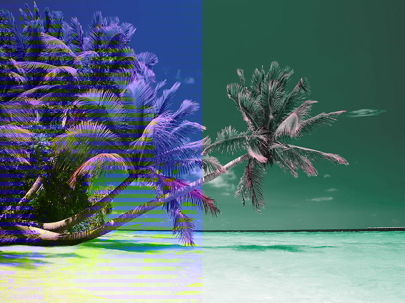 Fototapeta Côte d'Azur und Palmen