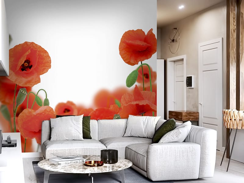 Fototapeta Mohnblumen auf weißem Hintergrund we wnętrzu salonu