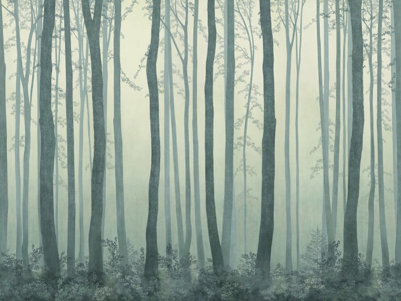Fototapeta Grüner Wald im Nebel