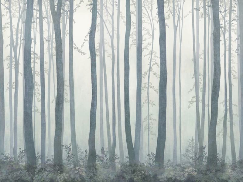 Fototapeta Dichter Nebel im Wald