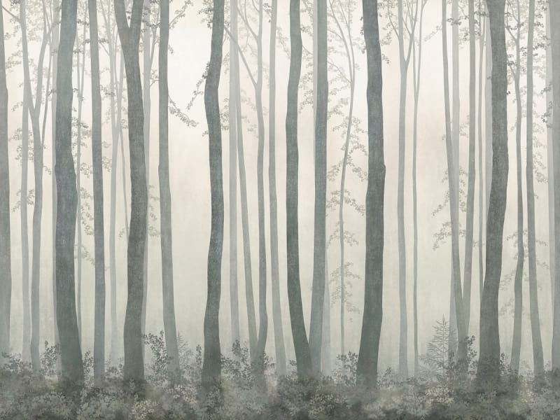 Fototapeta Bäume im Nebel