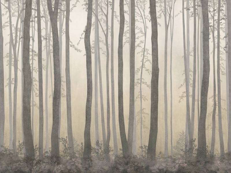 Fototapeta Abend in einem nebligen Wald