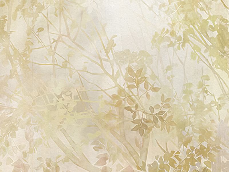 Fototapeta Bogen und Blumen im Garten fragment #2