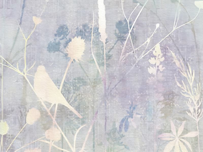 Fototapeta Wildblumen zeichnen fragment # 1