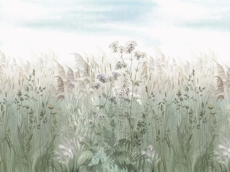 Fototapeta Feld voller Blumen