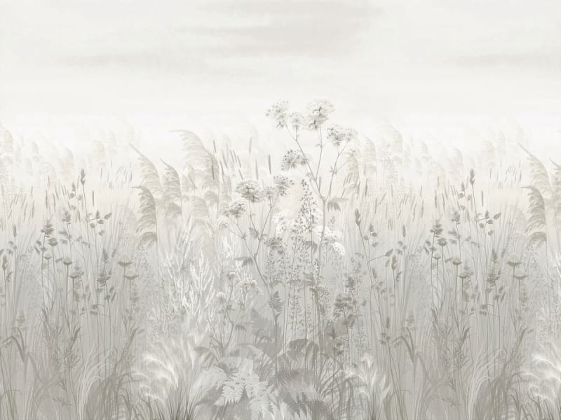 Fototapeta Wildblumen im Nebel