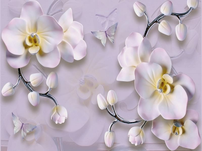 Fototapeta Wunderschöne Orchideen 