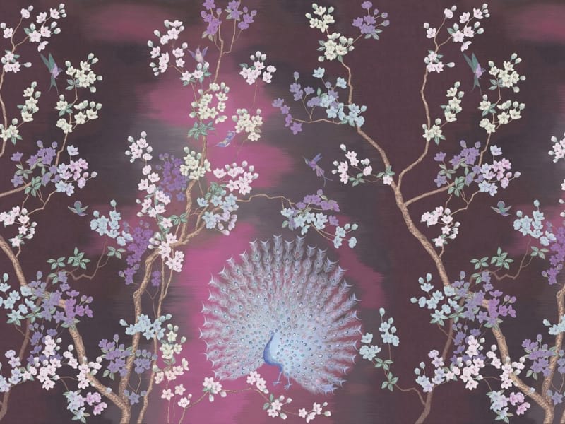 Fototapeta Blüte und Pfau
