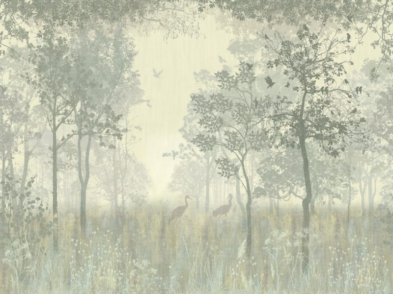 Fototapeta Vögel im Wald