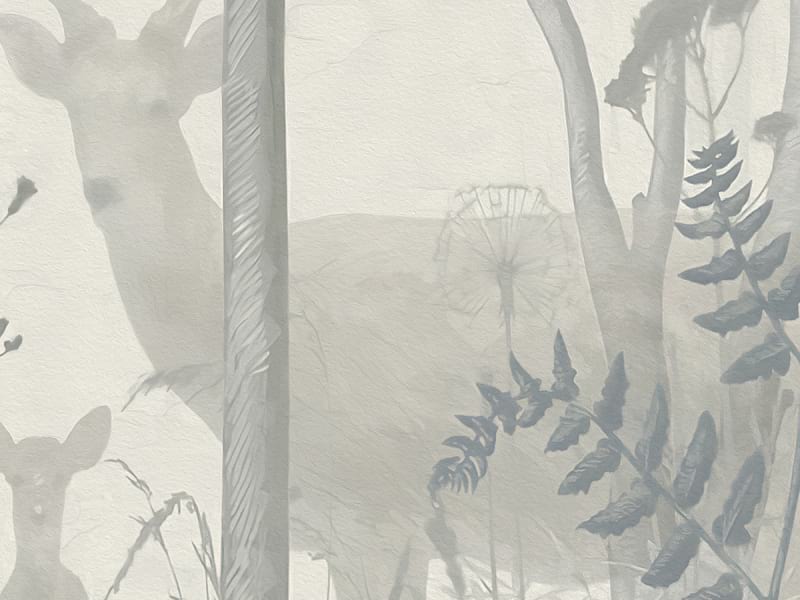 Fototapeta Morgen in einem nebligen Wald fragment # 1
