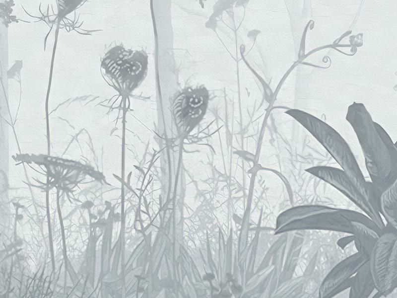 Fototapeta Nebel in einem grauen Wald fragment #2