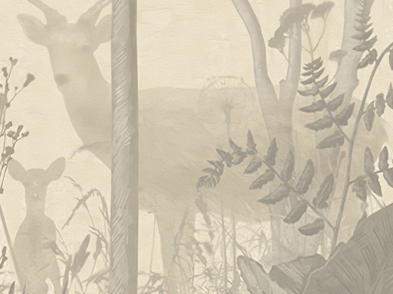 Fototapeta Stiller Wald fragment # 1