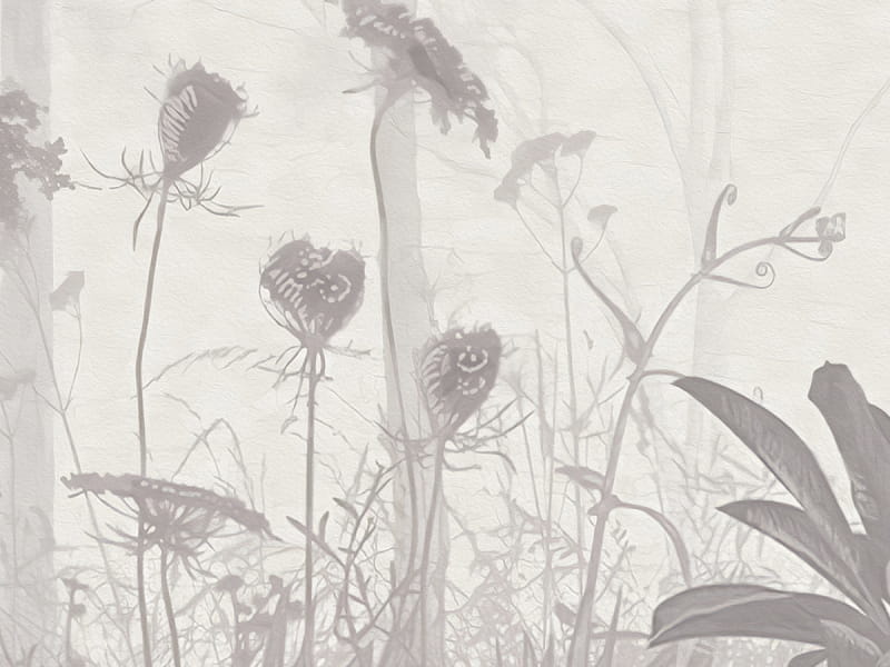 Fototapeta Grauer Wald fragment #2