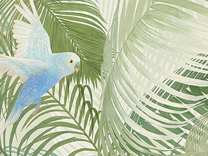 Fototapeta Vögel im Regenwald fragment # 1