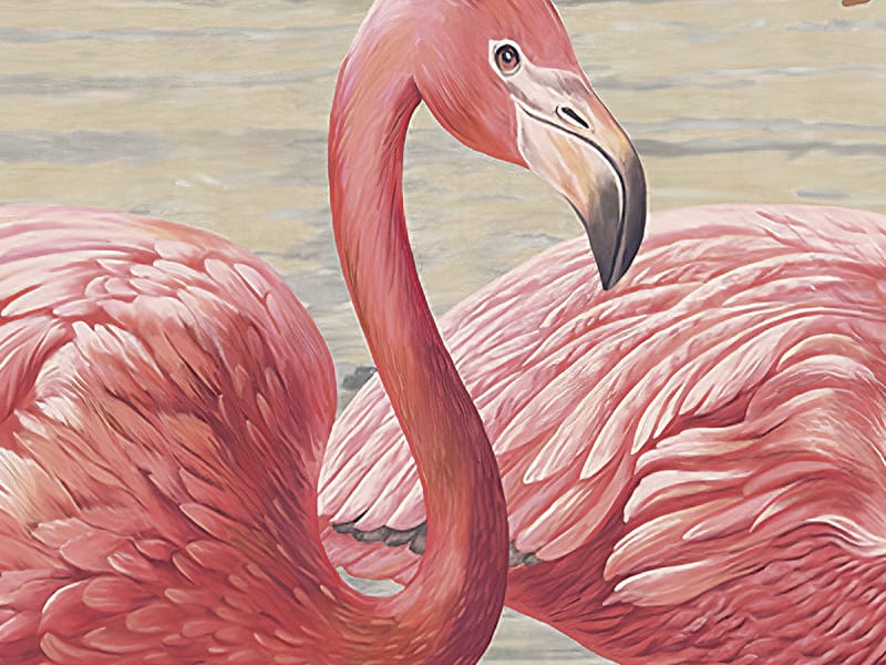 Fototapeta Flamingo im See fragment # 1