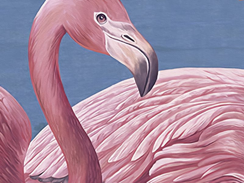 Fototapeta Rosa Flamingos auf dem See fragment # 1
