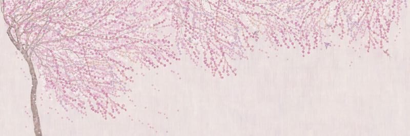Fototapeta Blühender, sich ausbreitender Baum