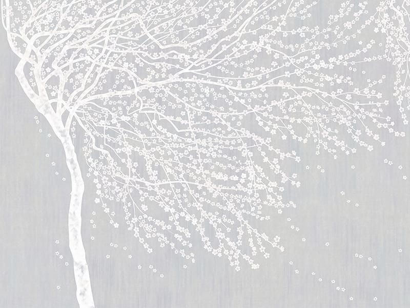 Fototapeta Weißer Baum auf grauem Hintergrund