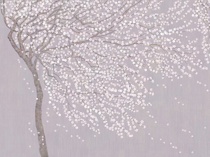 Fototapeta Anmutig blühender Baum