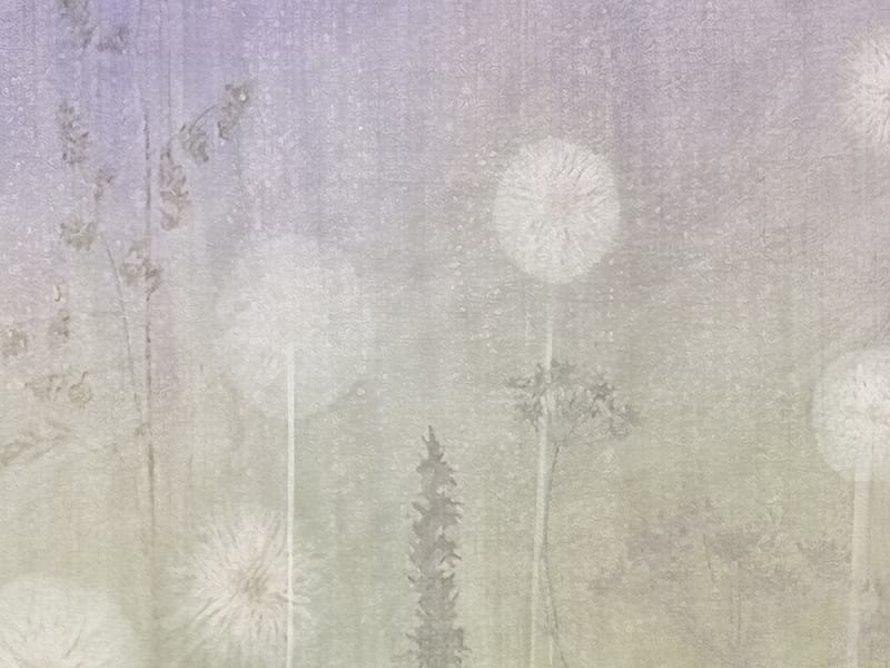 Fototapeta Löwenzahnfeld-Aquarell fragment #2