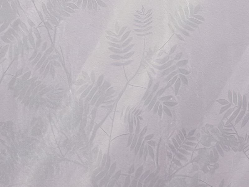 Fototapeta Blühende Bäume im Morgengrauen  fragment #2