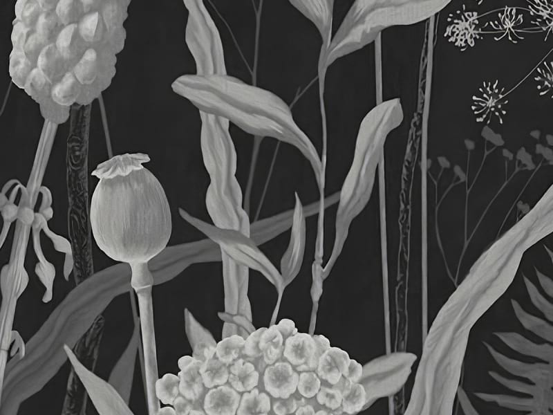 Fototapeta Schwarze und weiße Wildblumen fragment # 1