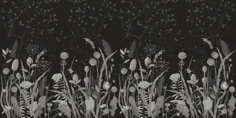 Fototapeta Schwarze und weiße Wildblumen