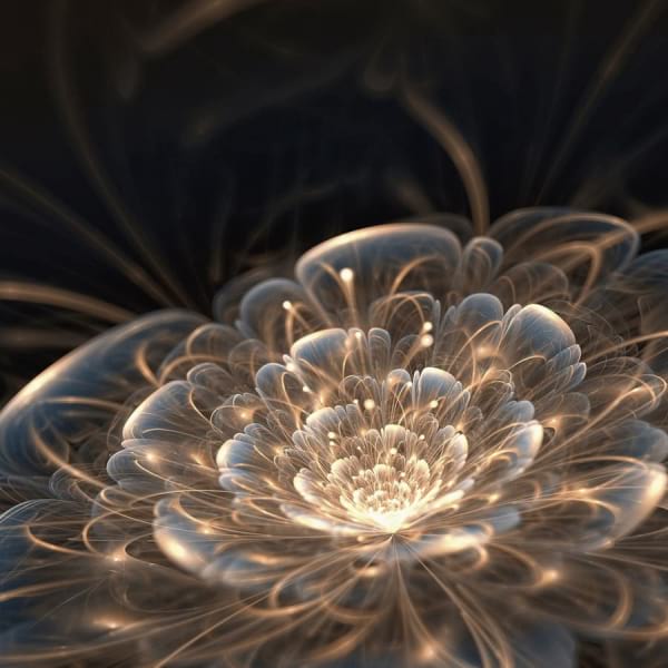 Fototapeta Schimmernde Blume