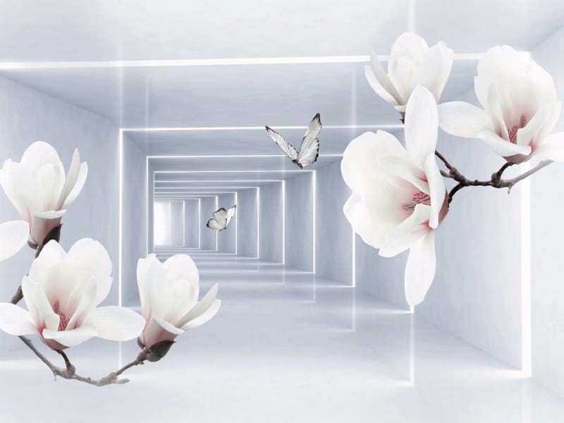 Fototapeta Magnolien in einem Lichttunnel
