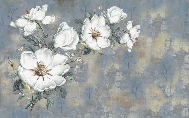 Fototapeta Weiße Magnolie