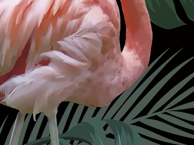 Fototapeta Flamingo im Dschungel fragment # 1
