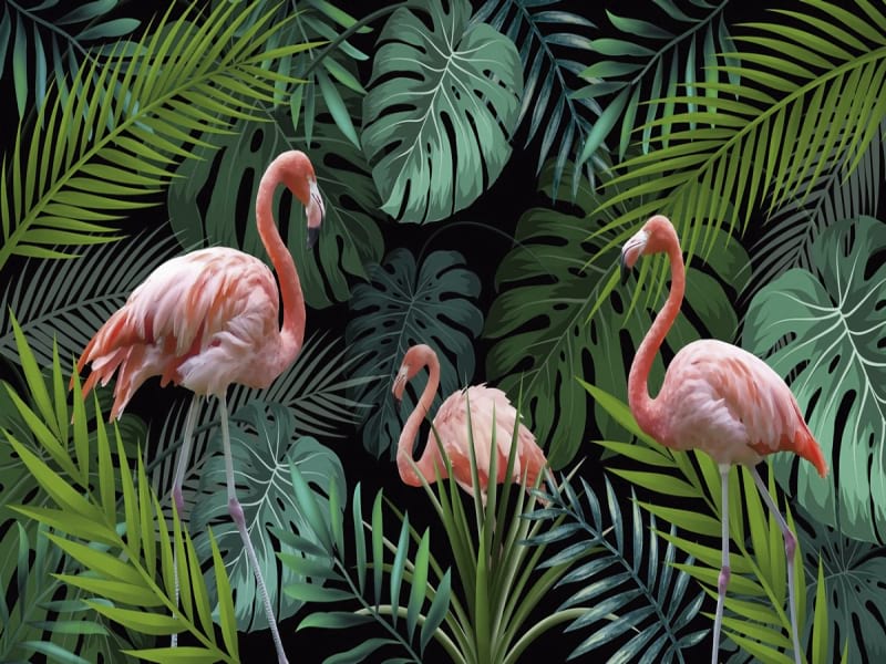 Fototapeta Flamingo im Dschungel