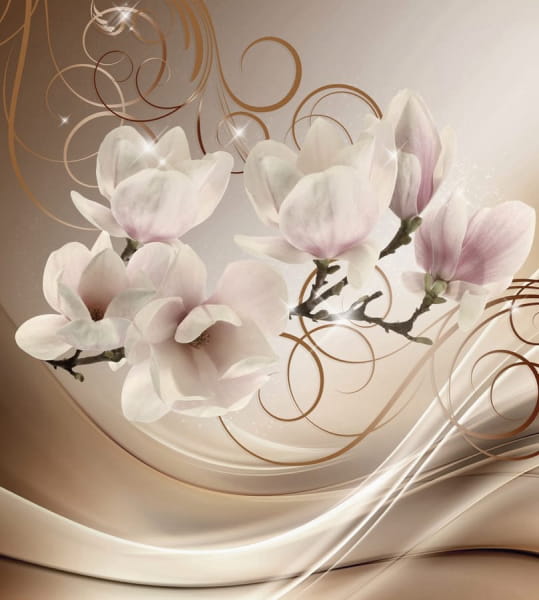 Fototapeta Blühende Magnolie