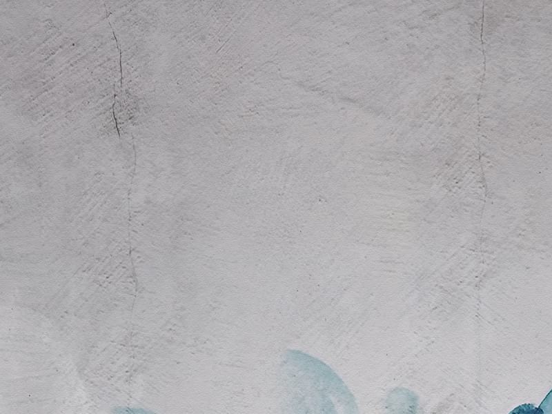 Fototapeta Leuchtend blaue Blüten fragment #2