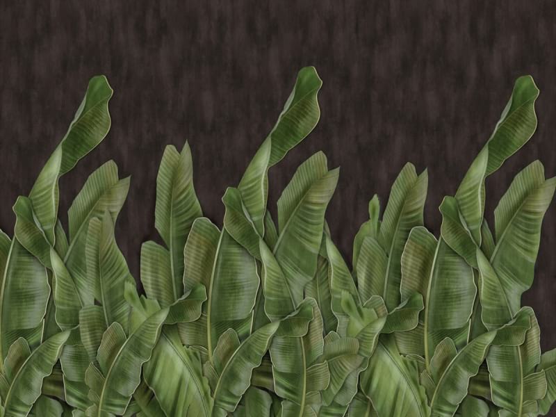 Fototapeta Bananenblätter auf dunklem Hintergrund